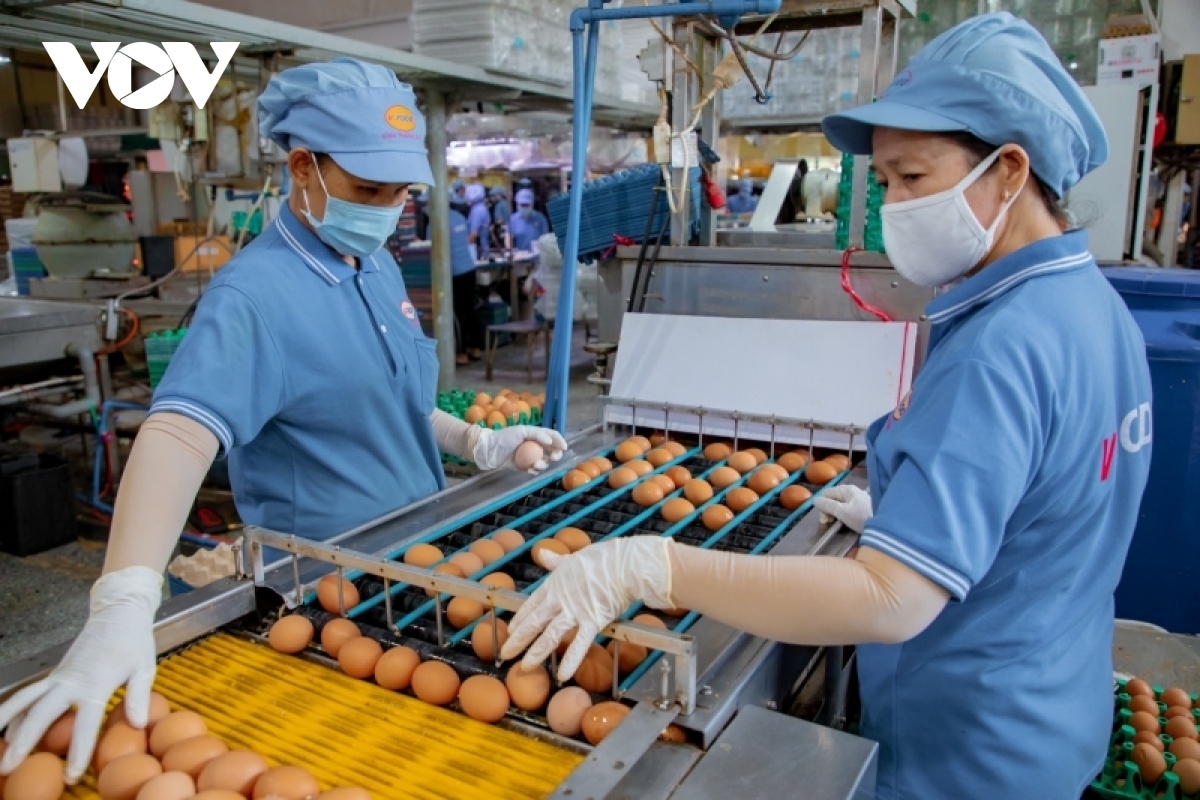 Vietnam PMI hits 50 mark for first time in six months